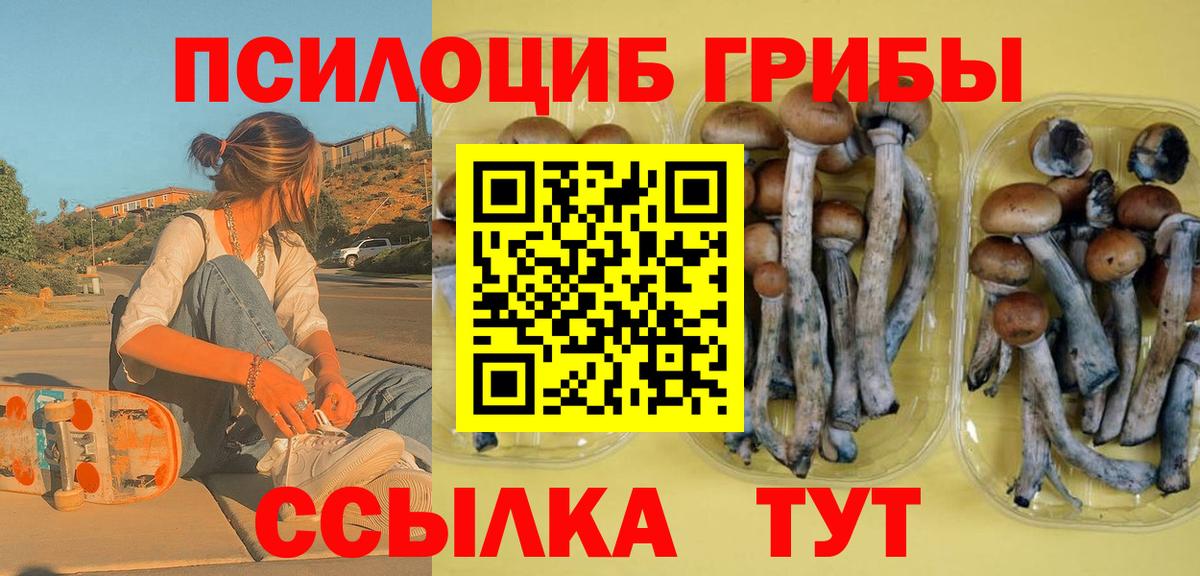 Галлюциногенные грибы прущие грибы Зеленогорск