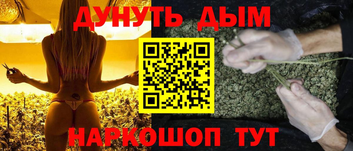Шишки марихуана индика Зеленогорск